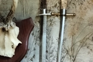 Sprzedam dwa kordelasy z porozem koziołka