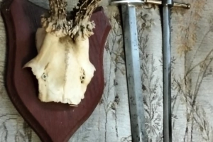 Sprzedam dwa kordelasy z porozem koziołka