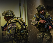 Kursy, szkolenia, książki